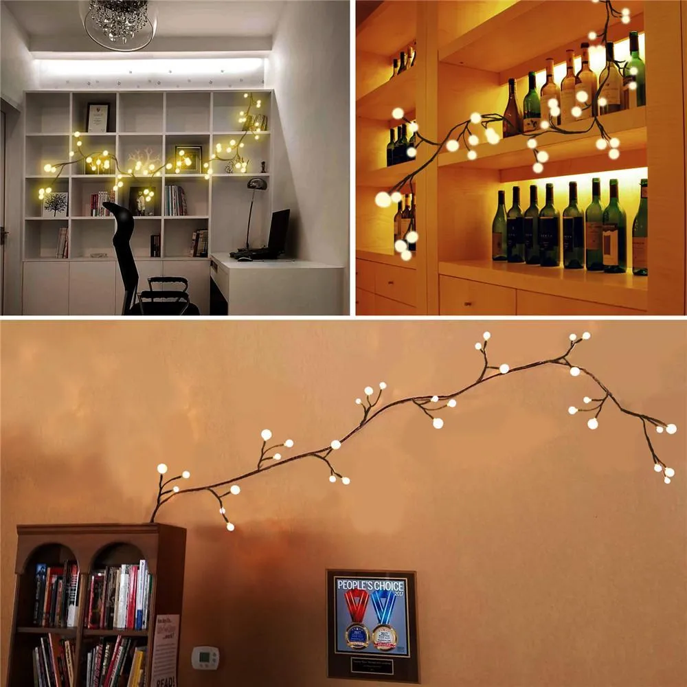 2.5M Fairy Lights LED Cane String Light