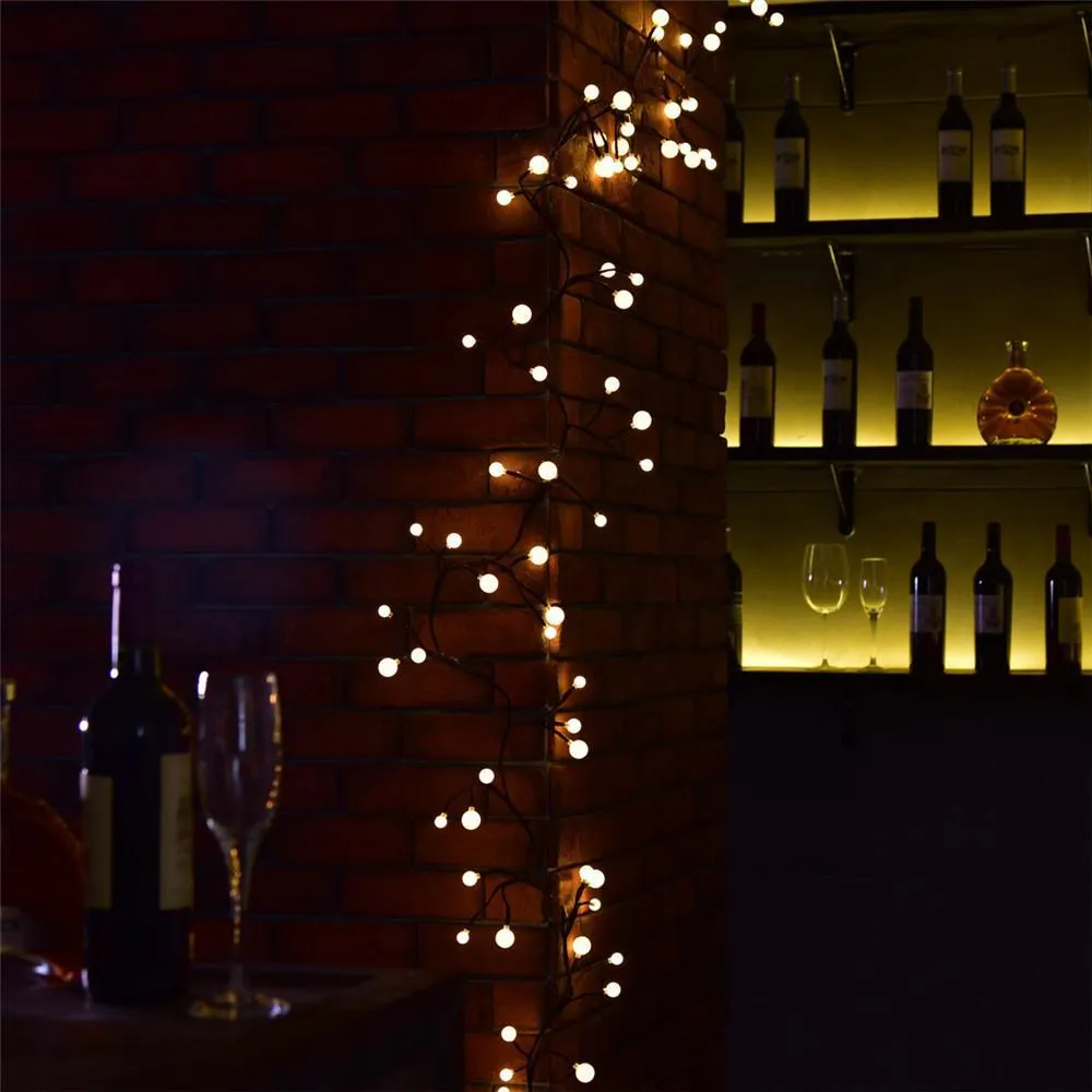 2.5M Fairy Lights LED Cane String Light