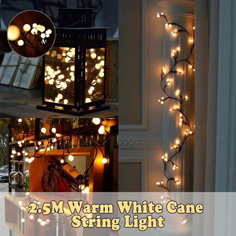 2.5M Fairy Lights LED Cane String Light