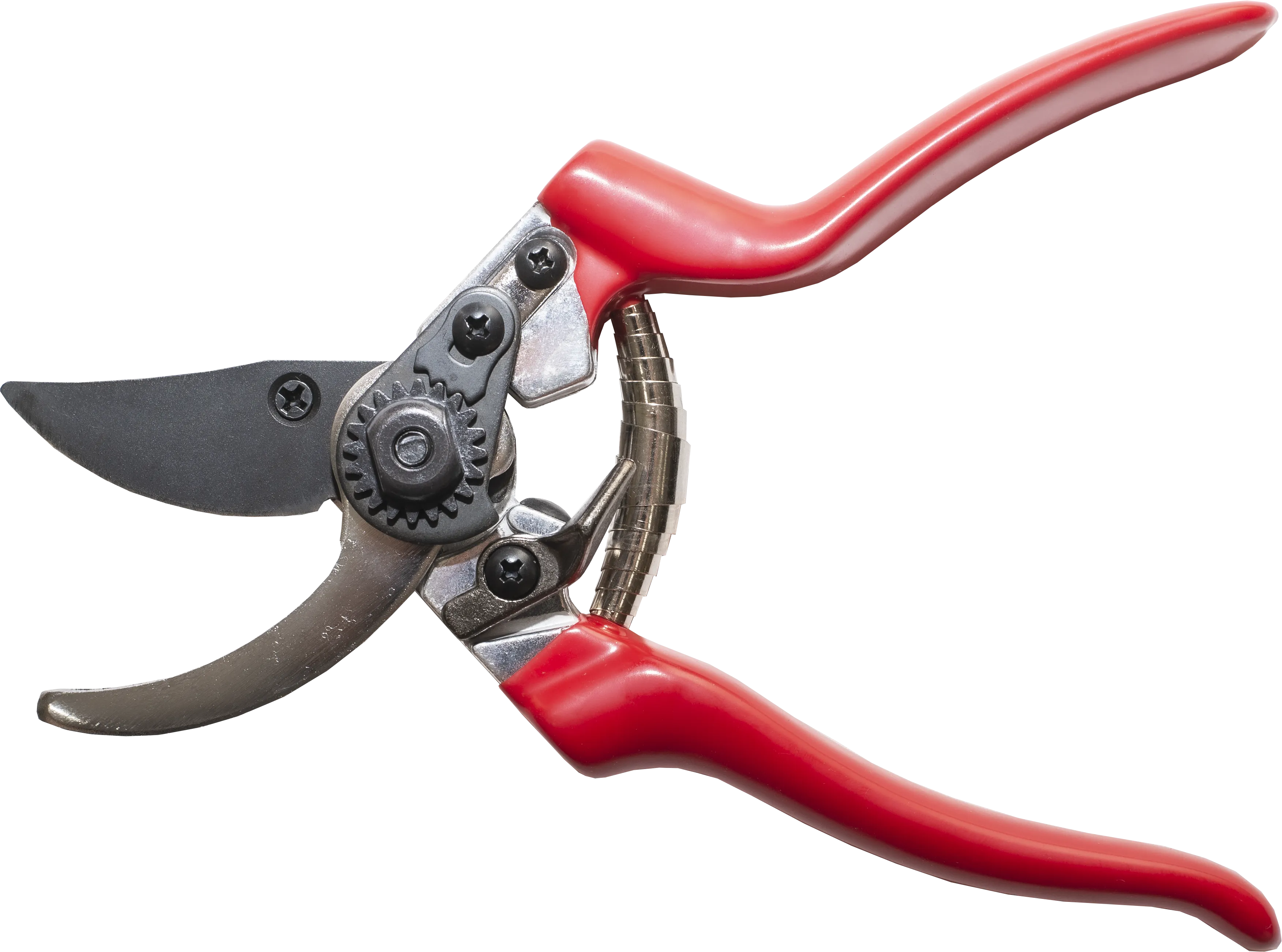 Arius Garden Heavy Duty Bypass Pruners