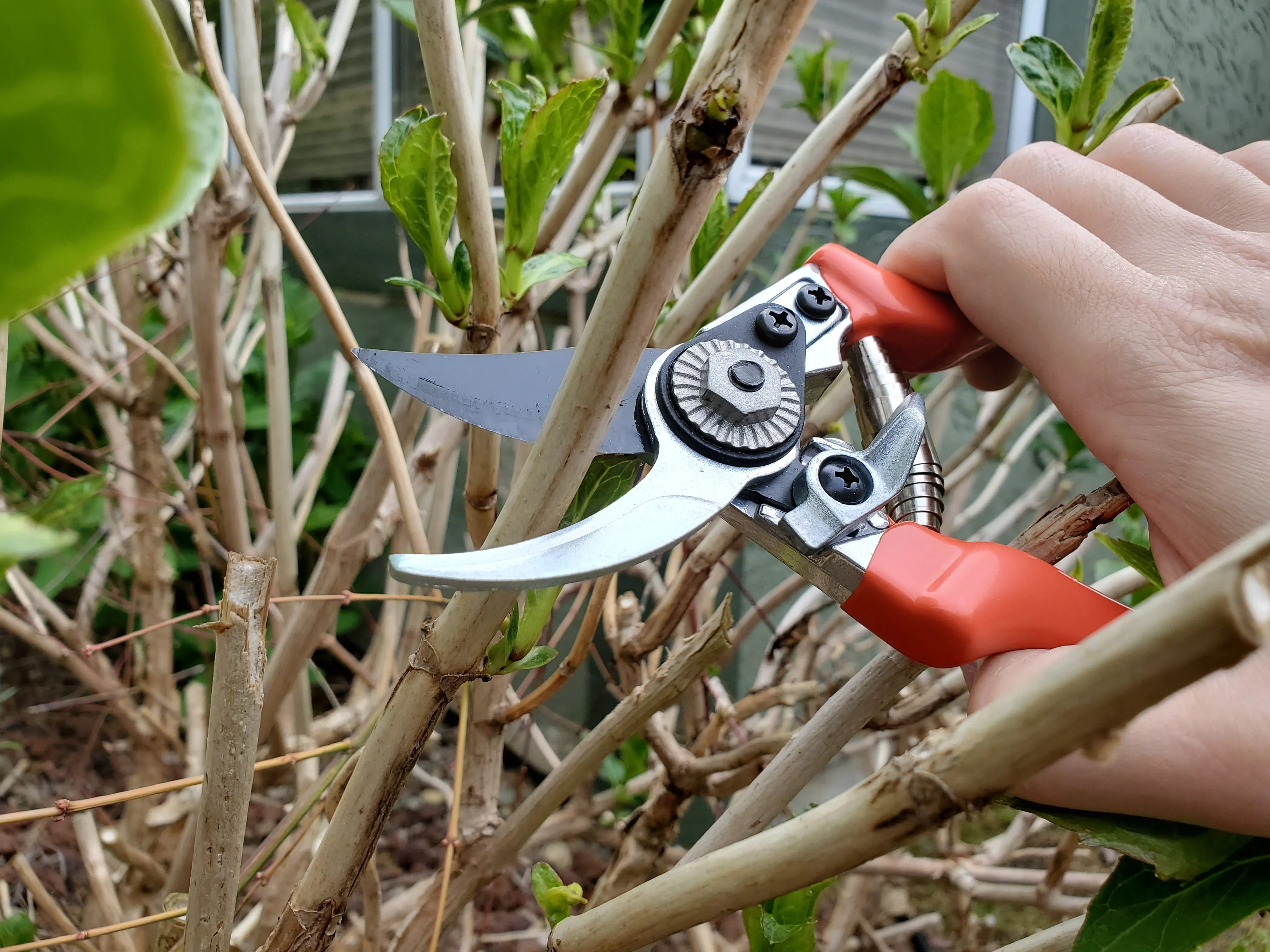 Arius Garden Heavy Duty Bypass Pruners