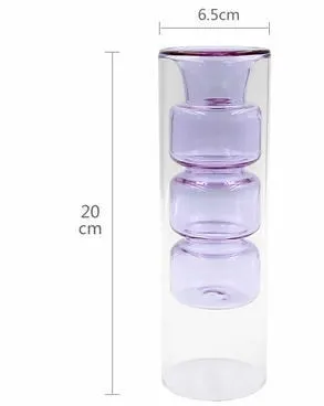 Double Glass Flower and Plant Vase