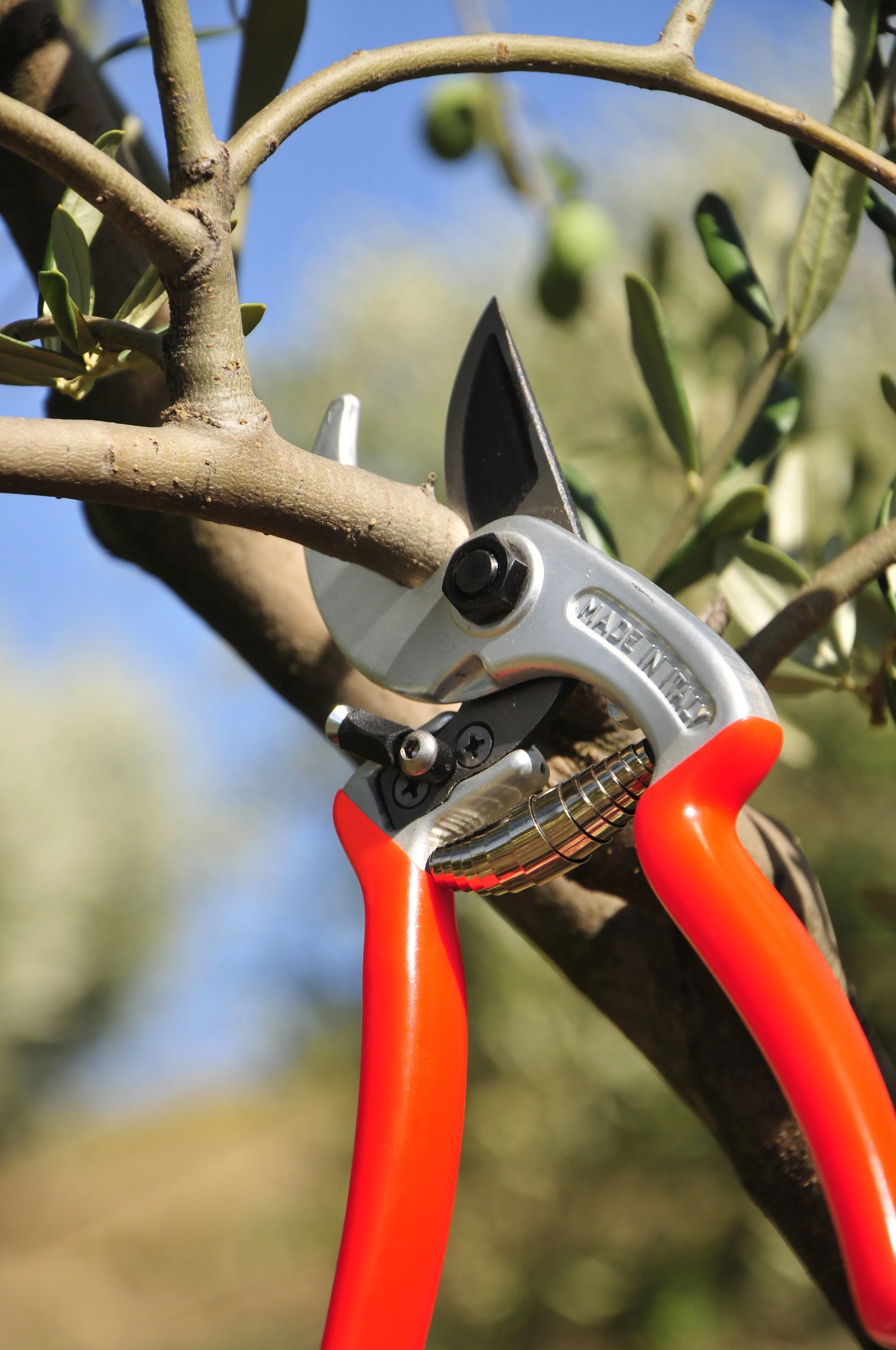 Ergonomic Pruning Shears