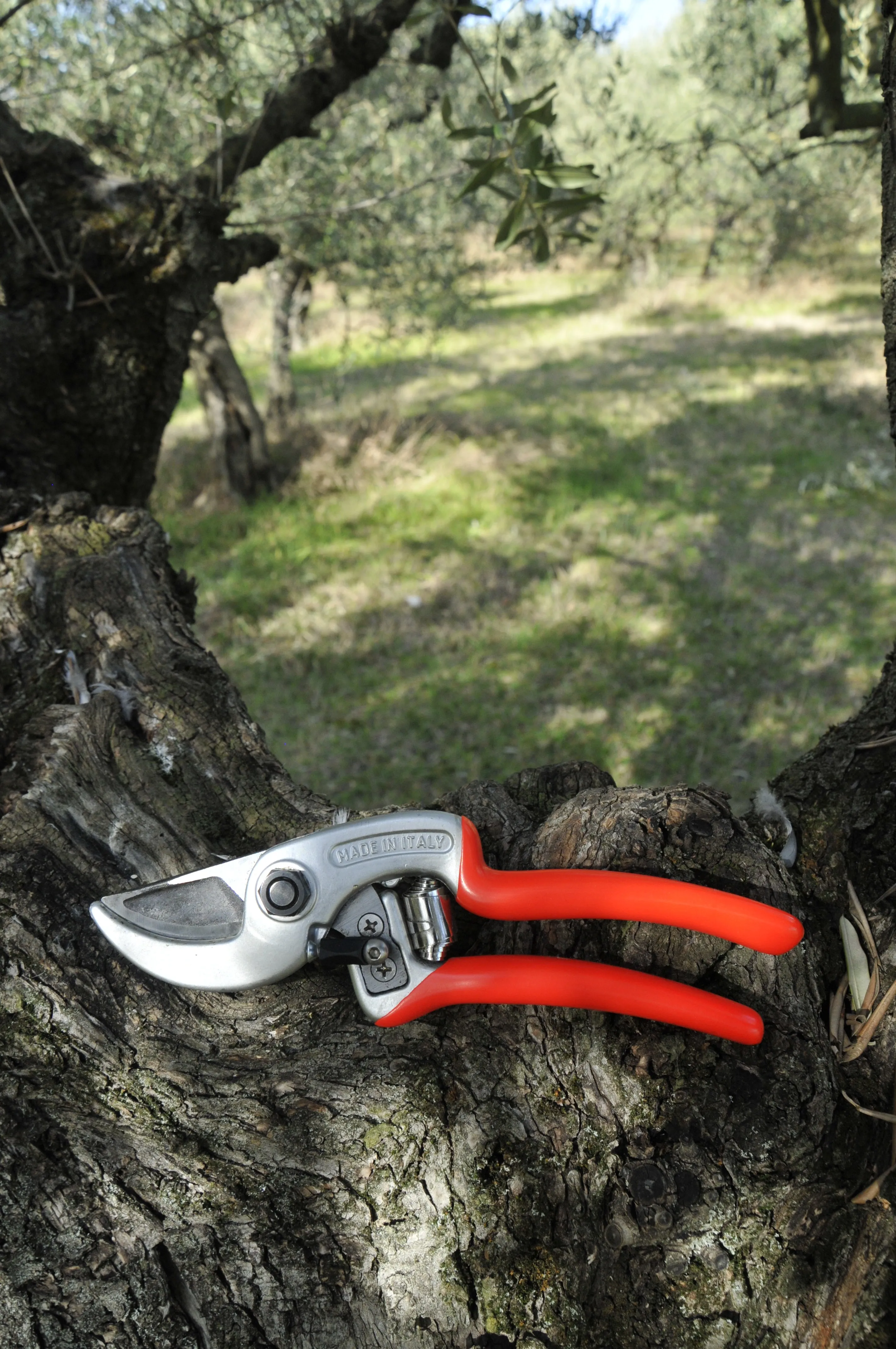 Ergonomic Pruning Shears