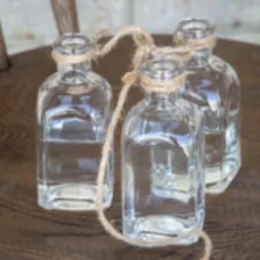 Hanging Flower Bottles