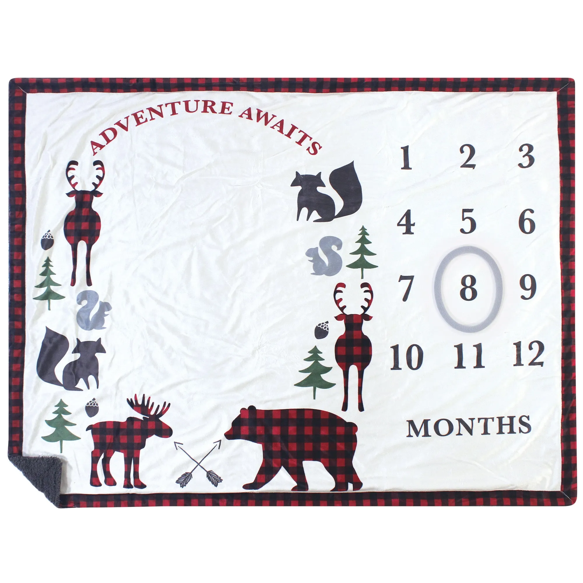 Hudson Baby Plush Holiday and Milestone Blanket, Red Black Plaid