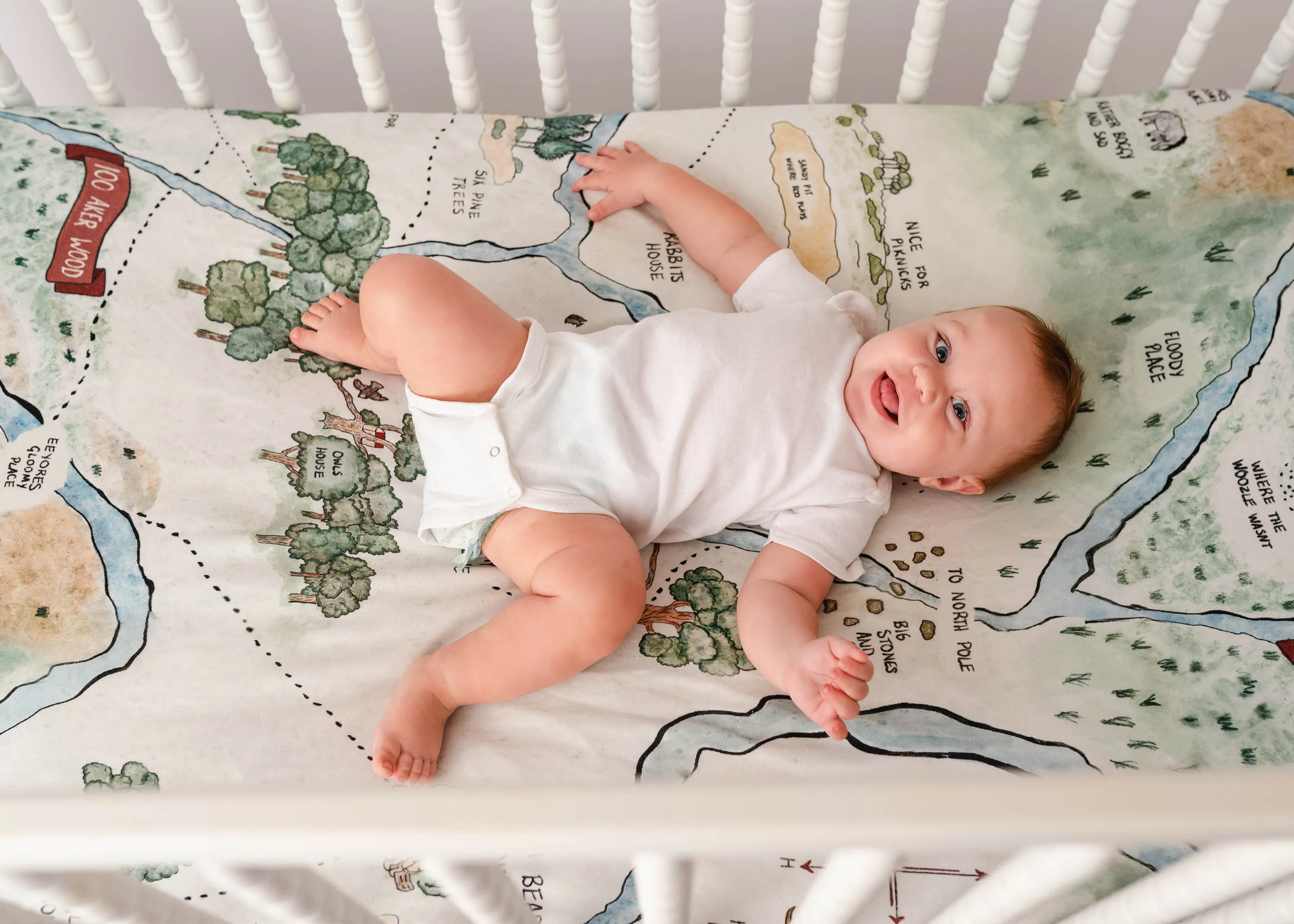 Hundred Acre Woods Bamboo Crib Sheet