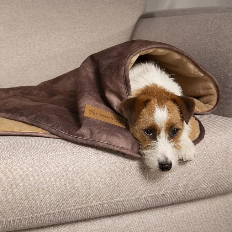 Kensington Dog Blanket - Chocolate