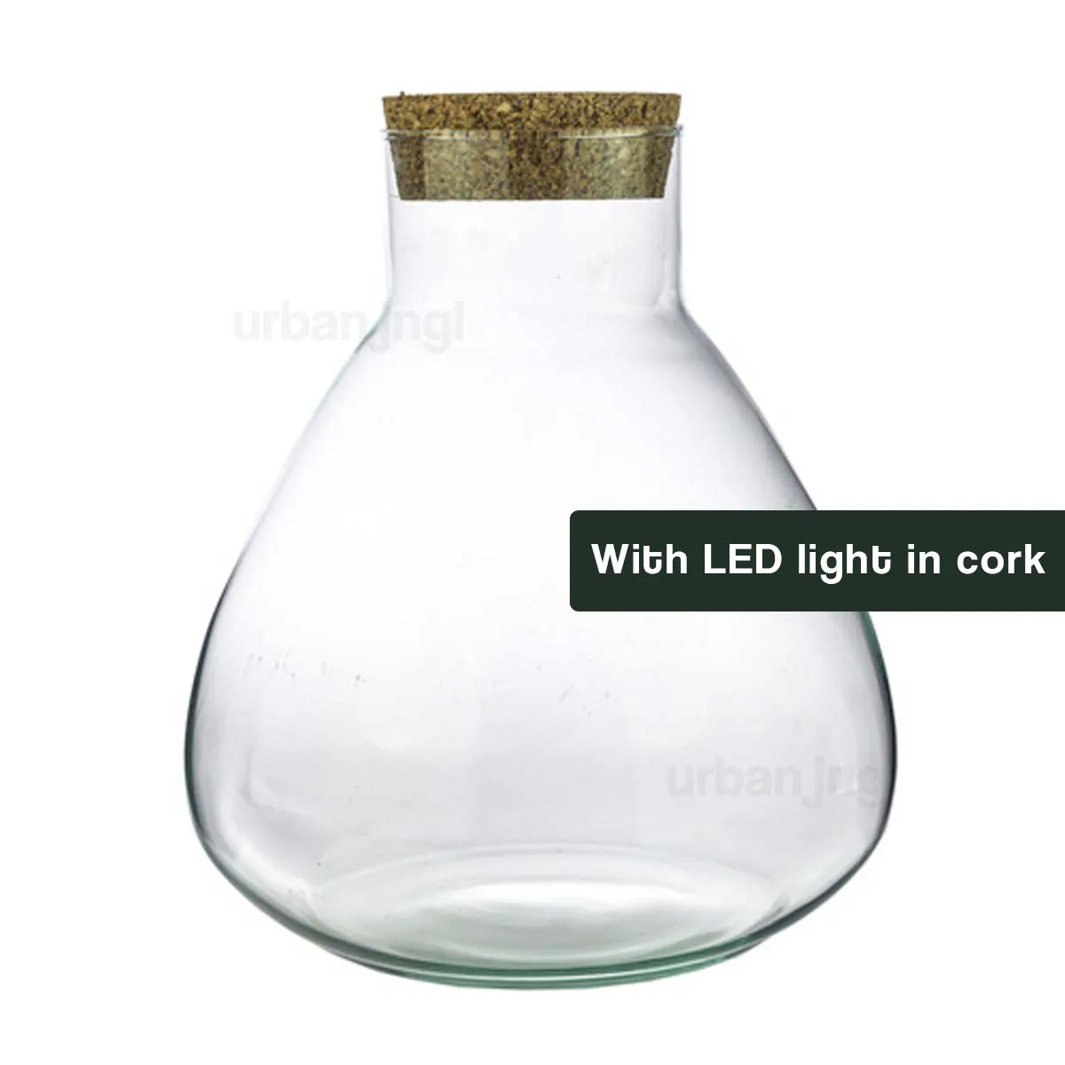 Terrarium with led cork - Sam Led - Closed terrarium ↑ 30 cm